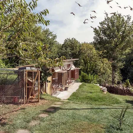 Casa de hóspedes Casa Do Campo Al Caldas de Sao Jorge