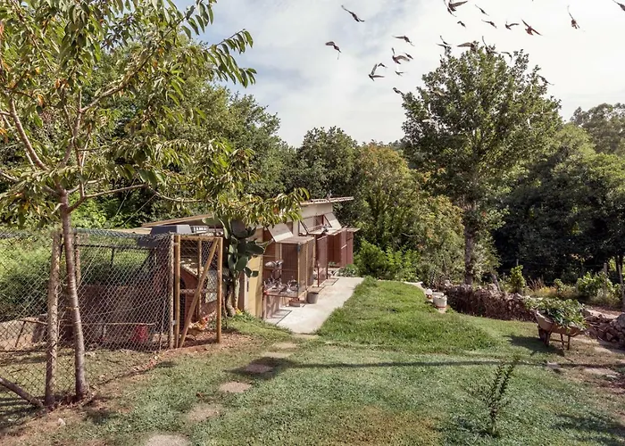 Gasthuis Casa Do Campo Al Caldas de Sao Jorge