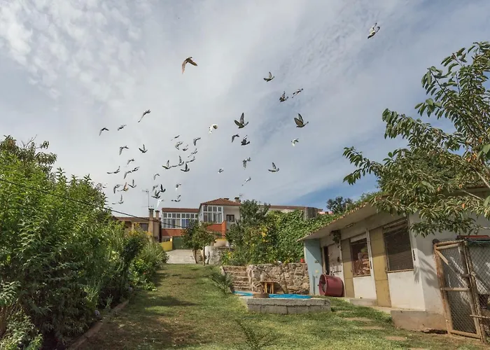Casa Do Campo Al Caldas de Sao Jorge